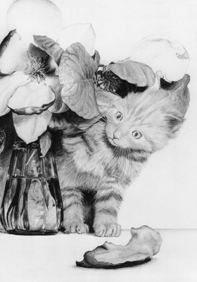 "Kitten in flowers" pencil drawing